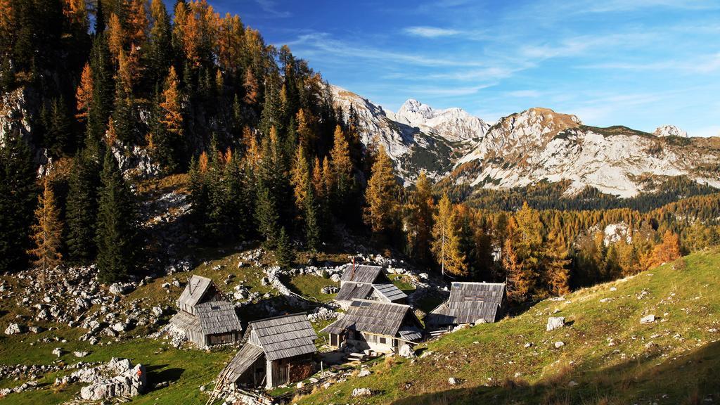 Apartments Bohinjskih 7 외부 사진